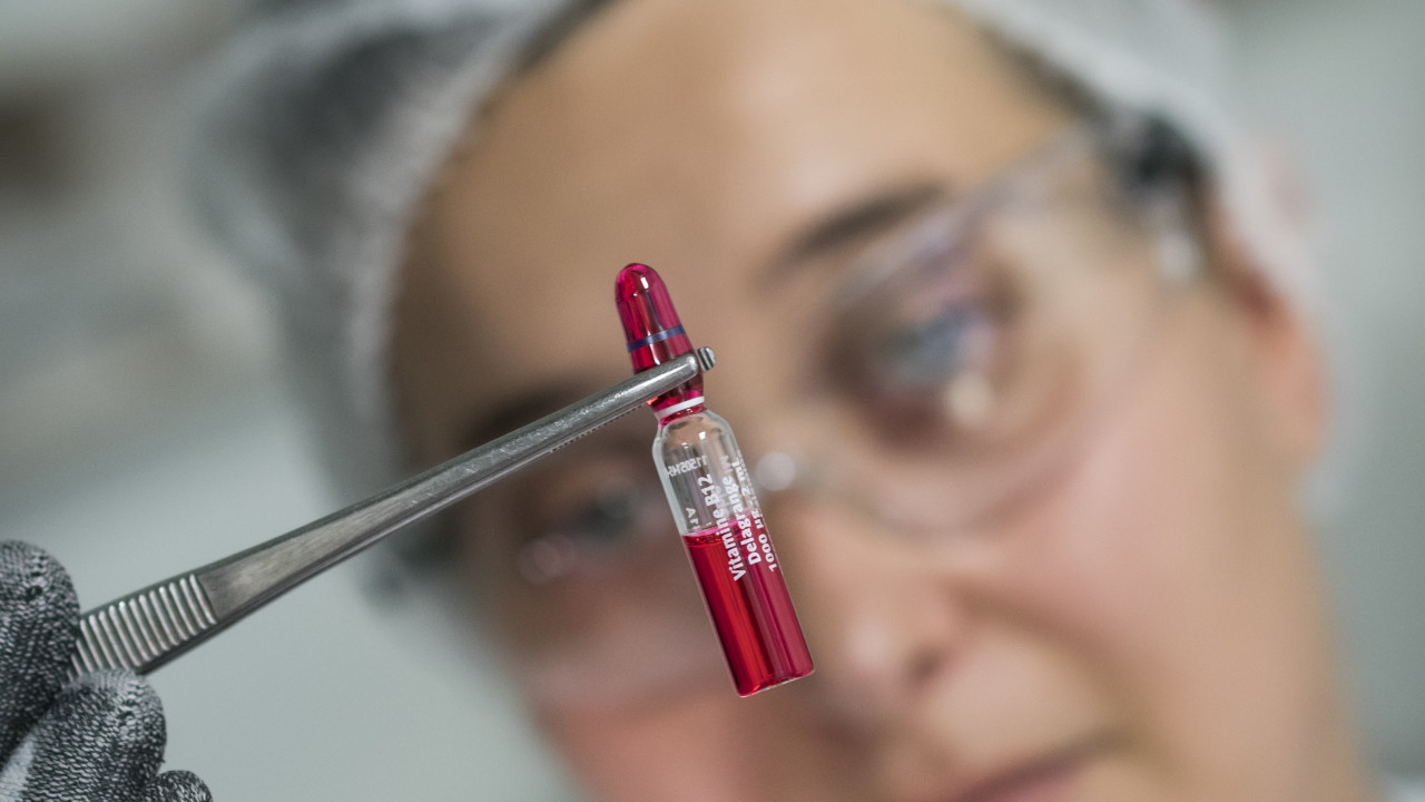 Delpharm Bladel B.V. Bladel afbeelding 1